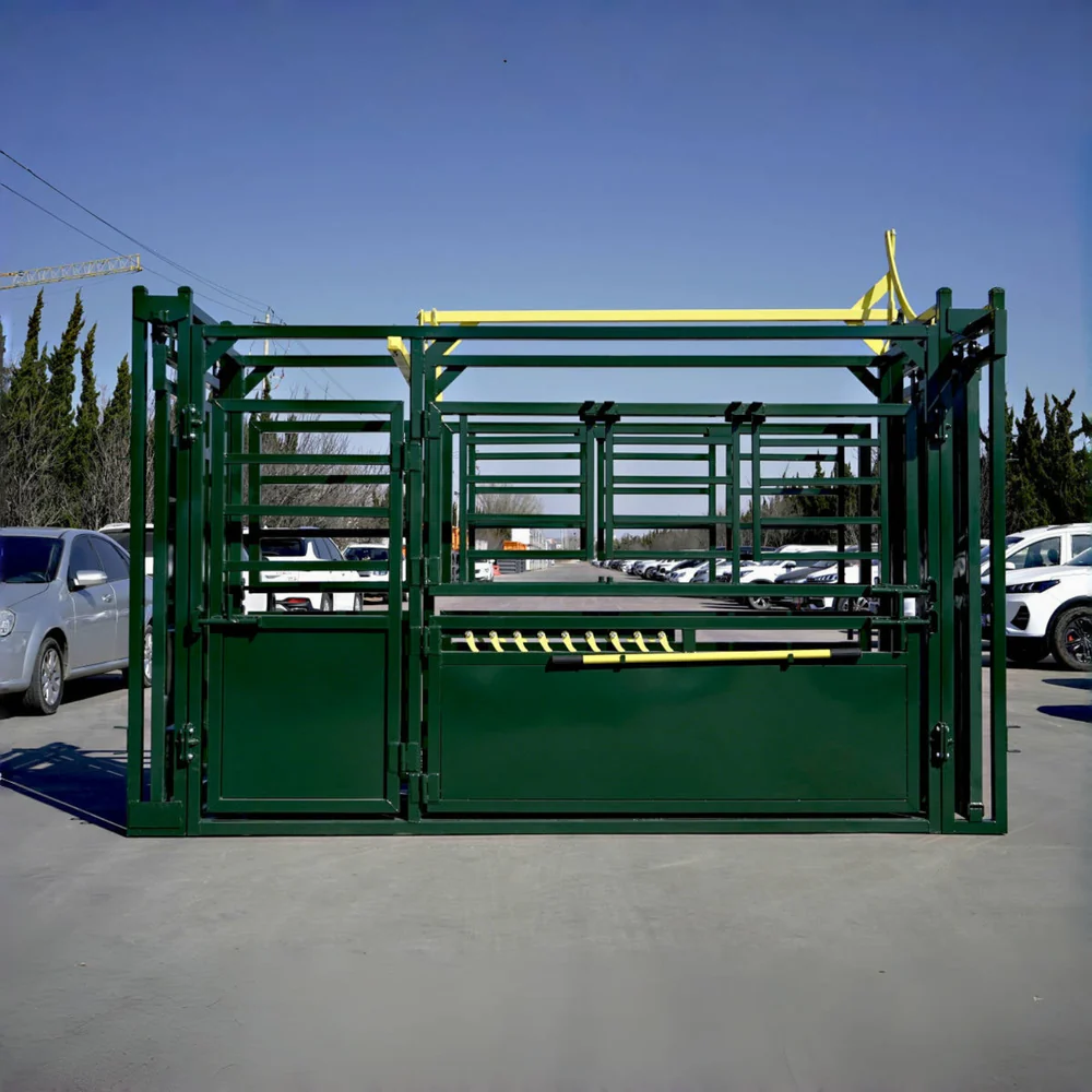 cattle chute for sale